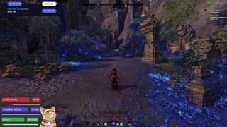 DROPS! 🔥 EPIC Sunday STORIES 🔥 PvE Setups Q&A 🔥 !discord !support