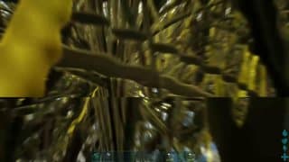 Ark survival evolved 15+ recommended server vertyco rag