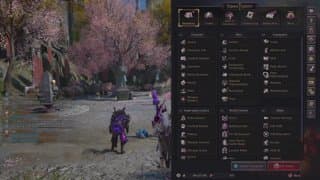 Throne & liberty, all day