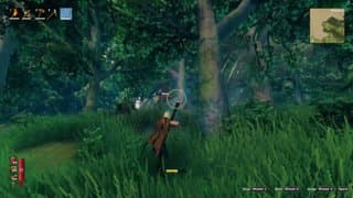 Into the Viking Wilderness