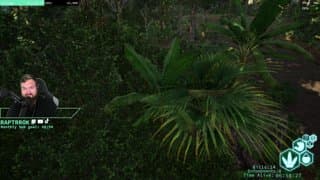 ⚔️| Wet Hot Allosaurus Summer. | Petits Pieds |🦖 !youtube