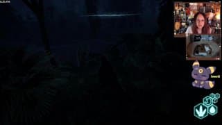 🦊🐈 Manger ou se faire manger 🦕 tel était la préhistoire 🦖 🔞