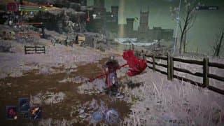 Fight Night Everdark Gnoster (New Rules, No Hit) | !discord